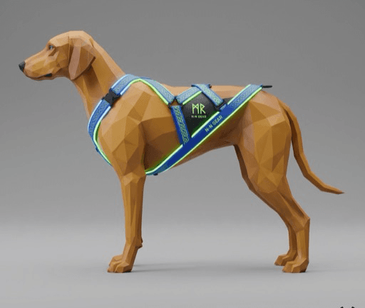 Oscar, a Neo-Nordic Sprint-Hound